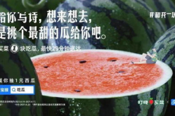 关于娱乐圈的吃瓜文案,揭秘明星幕后故事