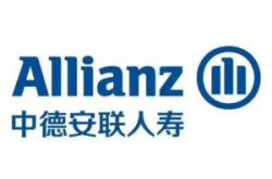 中德安联保险,中德合资的保险巨头，全方位守护您的未来”