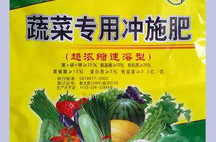 蔬菜冲施肥,高效营养补充，助力蔬菜健康生长的秘诀”