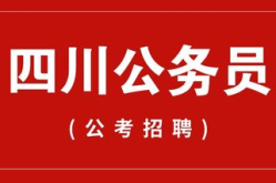 四川公务员,选拔与任用国家机关人才的综合性选拔机制