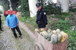盐山网红吃瓜事件视频最新,揭秘背后真相与网络暴力