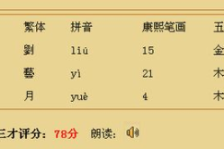 姓名打分数,揭秘名字背后的内涵与运势
