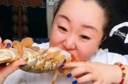 胖姐娱乐吃瓜,揭秘娱乐圈最新吃瓜事件，带你领略明星幕后故事