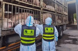 警惕！近期高发！已有多人中招2025/5/23大楚网武汉爆料热线