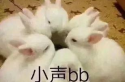 娱乐吃瓜兔子,揭秘娱乐圈那些不为人知的幕后故事
